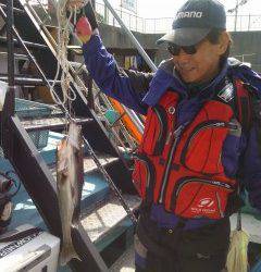 シラサのウキ釣り〜沖の北でハネ・旧の白灯台でチヌ