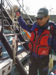 シラサのウキ釣り〜沖の北でハネ・旧の白灯台…