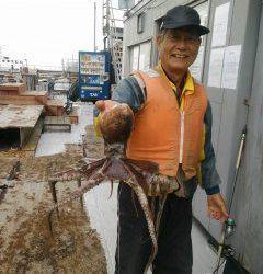 沖の一文字で良型のタコをキャッチ