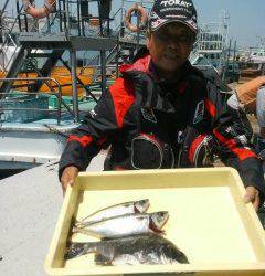 沖の北で、サバ・チヌ・良型のガシラの釣果☆