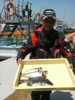 沖の北で、サバ・チヌ・良型のガシラの釣果☆…