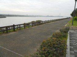 貝塚人工島のエビ撒き釣りでガシラ