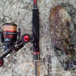 田ノ浦漁港のエギング、爆風でコウイカ狙いに変更しゲット