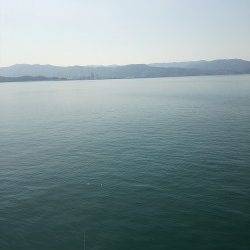 田ノ浦漁港エギングでコウイカ、ミオ筋がポイント