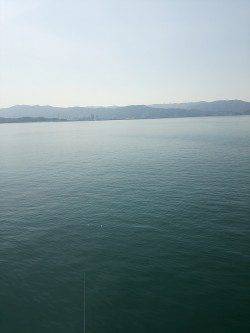 田ノ浦漁港エギングでコウイカ、ミオ筋がポイント