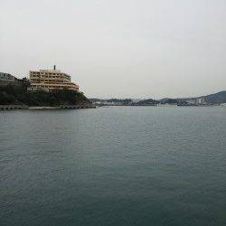 田ノ浦漁港エギングでコウイカ、ベイトっ気無く渋い状況