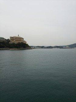 田ノ浦漁港エギングでコウイカ、ベイトっ気無く渋い状況