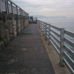 新浜漁港でのカレイ・キス狙いで投げ釣り、アタリほとんどなく・・・