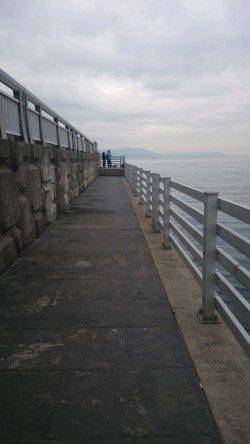 新浜漁港でのカレイ・キス狙いで投げ釣り、アタリほとんどなく・・・