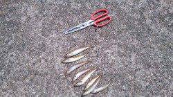 南部　ちょい投げで石ゴカイ300円勝負でキス狙い