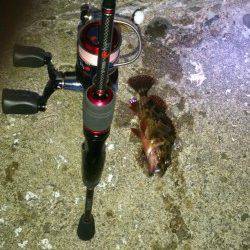 城ヶ崎メバリング〜潮止まり前にガシラ連続HIT