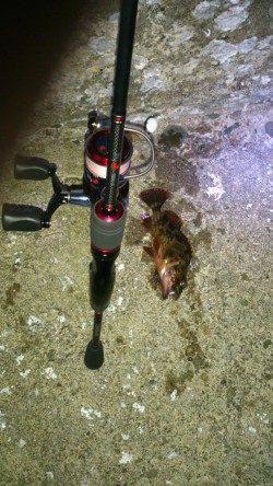 城ヶ崎メバリング〜潮止まり前にガシラ連続HIT