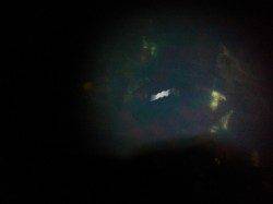 激渋でメバル20cmほどを1尾〜りんくう周辺メバリング