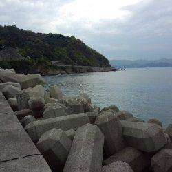 有田周辺もそろそろスタートでしょうか！春らしいサイズのアオリ♪