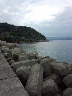 有田周辺もそろそろスタートでしょうか！春らしいサイズのアオリ♪