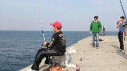 炬口　3週連続でキスの引き釣り調査