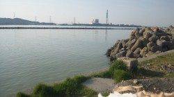 日高川河口シーバス、濁りありミノーでヒラスズキ2本ゲット！