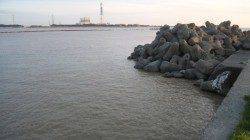 雨後の濁りの中、河口でヒラスズキGET！