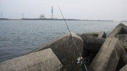 南塩谷にて夕方ルアーでエソ狙ってきました