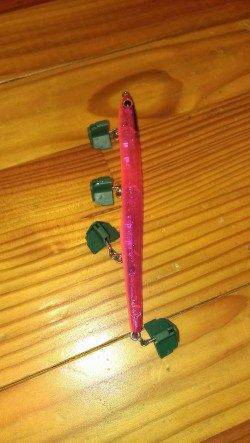 岸和田でバチパターンのシーバス