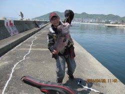 須磨フカセ釣りで大物コブダイ、5ヒット当たり2枚ゲット