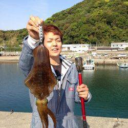 湯浅にてヤエンでアオリイカをキャッチ！