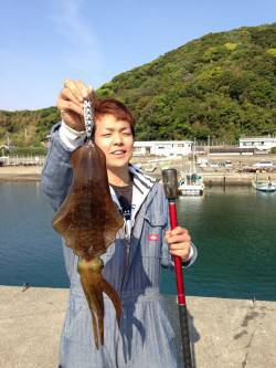 湯浅にてヤエンでアオリイカをキャッチ！