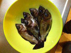 須磨メバリング〜ストマックはアミばかりでした