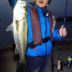 キッズアングラー今年もGET！ 貝塚バチ抜けシーバス