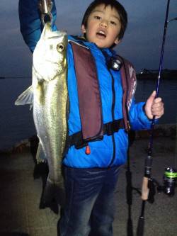 キッズアングラー今年もGET！ 貝塚バチ抜…