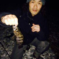 りんくう周辺メバリング、すごい引きの正体は。。。