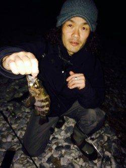 りんくう周辺メバリング、すごい引きの正体は。。。