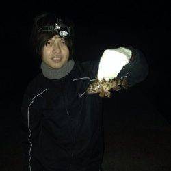 青岸にて夜は胴突でガシラ〜朝はエギングでコウイカ