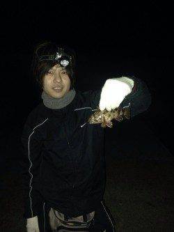 青岸にて夜は胴突でガシラ〜朝はエギングでコウイカ