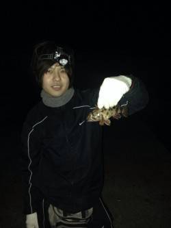 青岸にて夜は胴突でガシラ〜朝はエギングでコ…