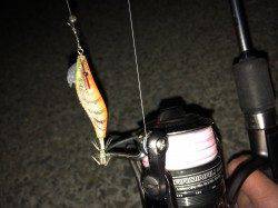 南芦屋浜南側ベランダの西端でタケノコメバル27cmのナイスファイト