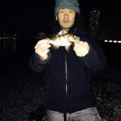 りんくう周辺メバリング〜満潮の潮止まりにアタリ増えサイズもUP