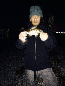 りんくう周辺メバリング〜満潮の潮止まりにアタリ増えサイズもUP