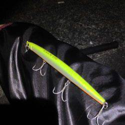 貝塚　微かなライズを狙い撃ち！渾身のシーバスゲット