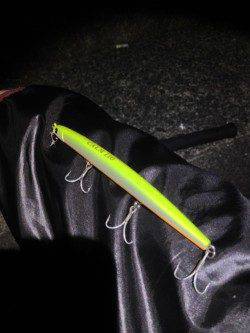 貝塚　微かなライズを狙い撃ち！渾身のシーバスゲット