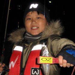 加太にて親子でアジング〜常夜灯下で反応あり！