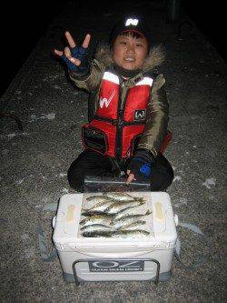 加太にて親子でアジング〜常夜灯下で反応あり！