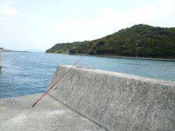 淡路由良の成が島水道でキスが釣れ始めました