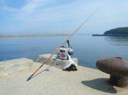 いよいよ淡路のキス始動！ 洲本港でキスとテンコチの引きに満足