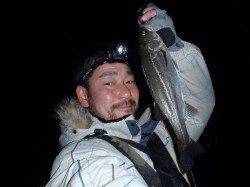 貝塚周辺プラッキングでメバル・チーバス・ガシラ