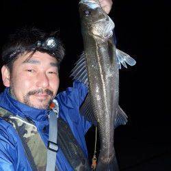 爆風の中貝塚メバリング釣行〜メバル、シーバスともに高活性♪