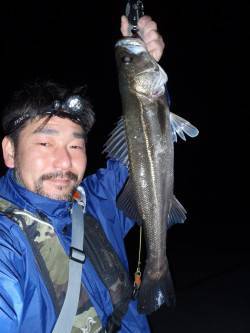 爆風の中貝塚メバリング釣行〜メバル、シーバ…