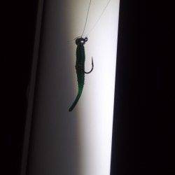 谷川漁港メバリング〜バラしの後快心のフッキングに成功