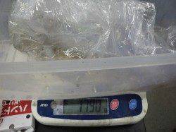 岩代でヤエン釣り　アオリ1790g&1215g