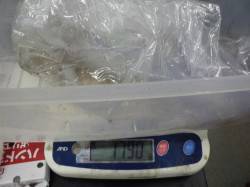 岩代でヤエン釣り アオリ1790g&…